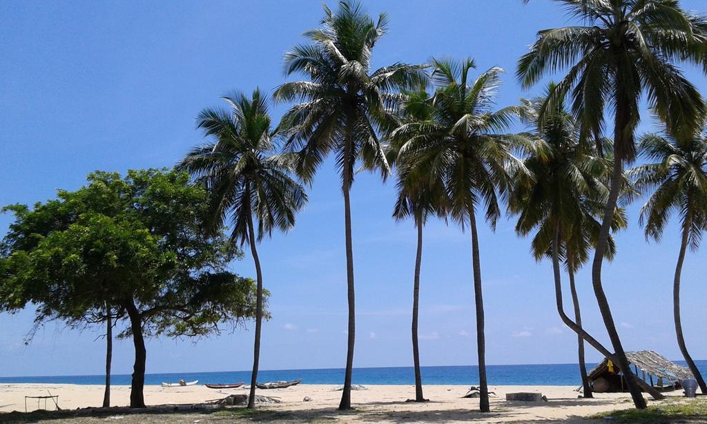 Naaval Beach Villa & Rooms Batticaloa Bilik gambar